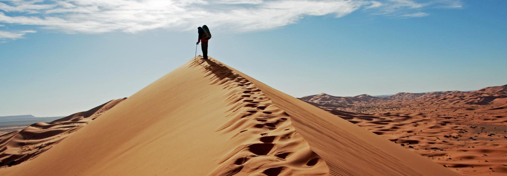 A person trekking to the top of a sand dune in the Sahara Desert