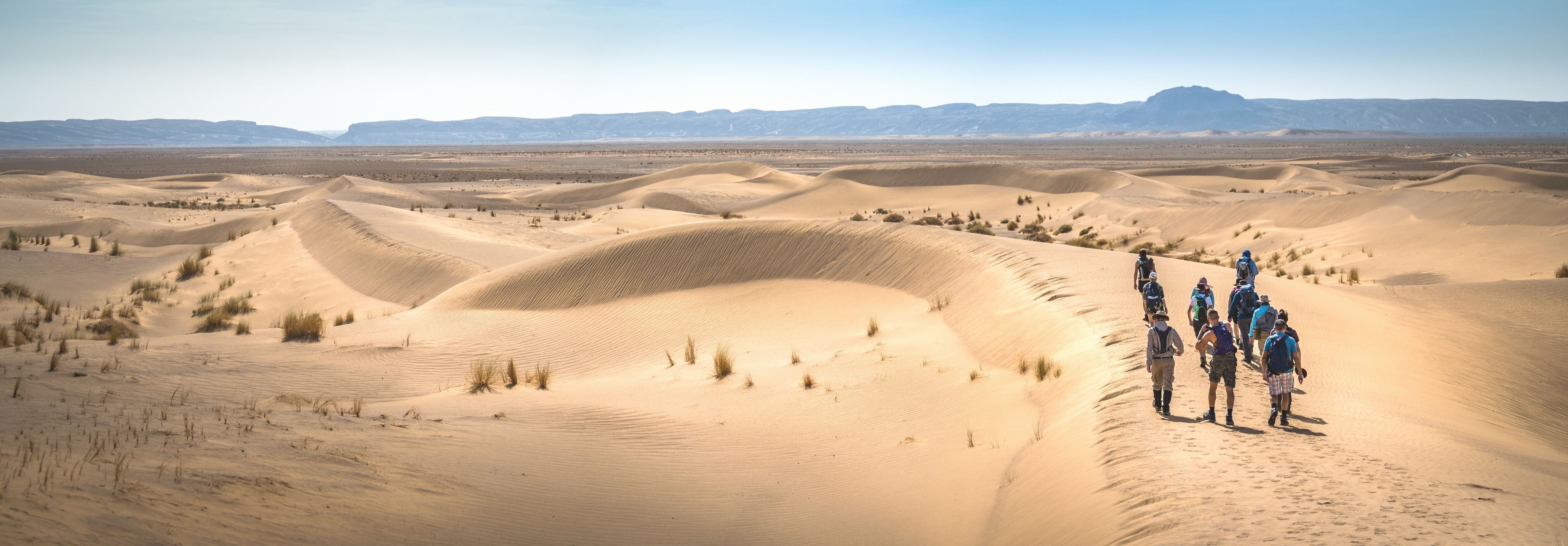 A group of people walking through the Sahara Desert